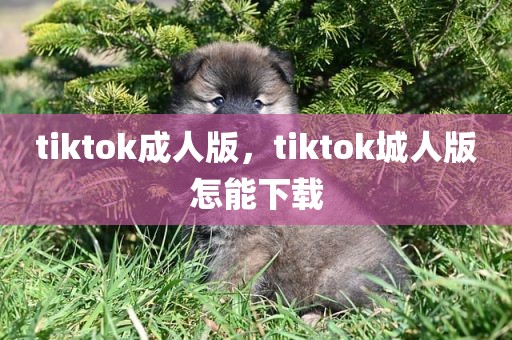 tiktok成人版，tiktok城人版怎能下载