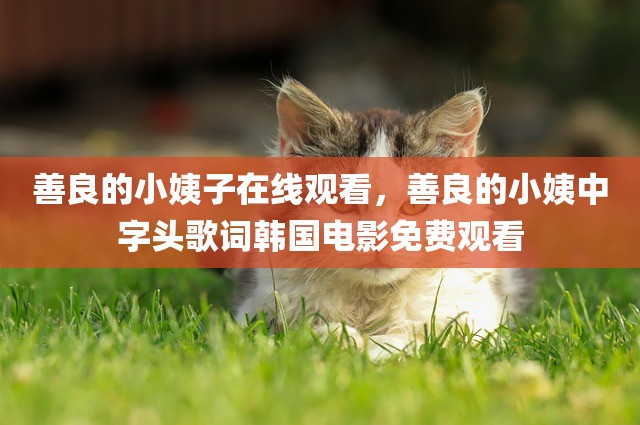善良的小姨子在线观看，善良的小姨中字头歌词韩国电影免费观看