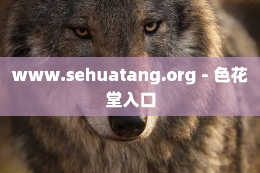 www.sehuatang.org - 色花堂入口