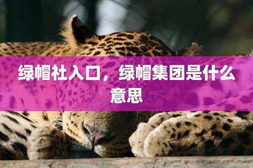 绿帽社入口，绿帽集团是什么意思