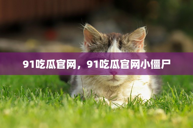 91吃瓜官网，91吃瓜官网小僵尸