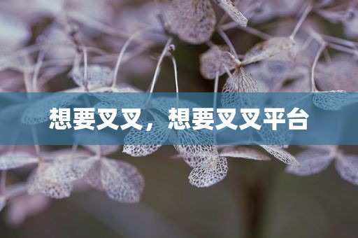 想要叉叉，想要叉叉平台