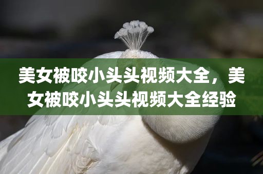 美女被咬小头头视频大全，美女被咬小头头视频大全经验
