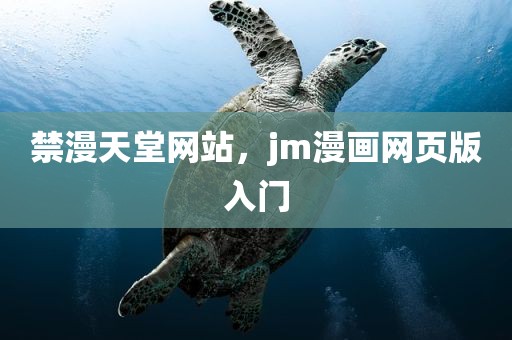 禁漫天堂网站，jm漫画网页版入门