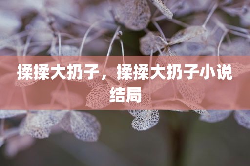 揉揉大扔子，揉揉大扔子小说结局