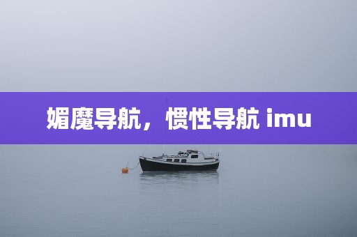 媚魔导航，惯性导航 imu