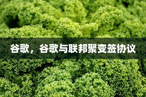 谷歌，谷歌与联邦聚变签协议