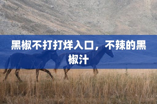 黑椒不打打烊入口，不辣的黑椒汁