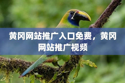 黄冈网站推广入口免费，黄冈网站推广视频
