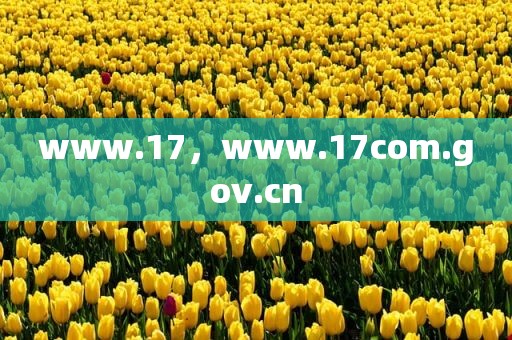 www.17，www.17com.gov.cn