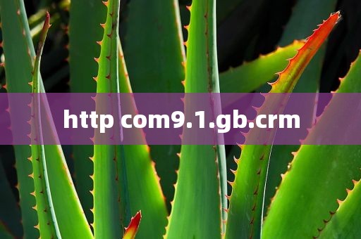 http com9.1.gb.crm