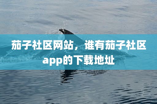 茄子社区网站，谁有茄子社区app的下载地址