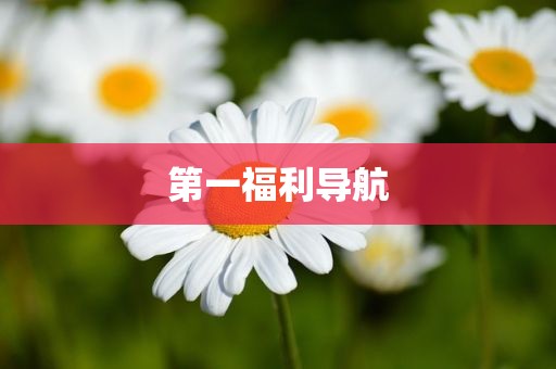 第一福利导航