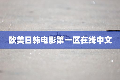 欧美日韩电影第一区在线中文