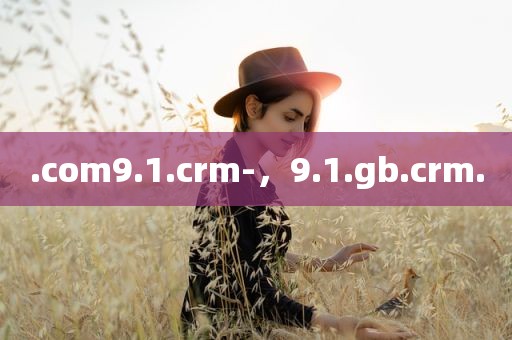 .com9.1.crm-，9.1.gb.crm.