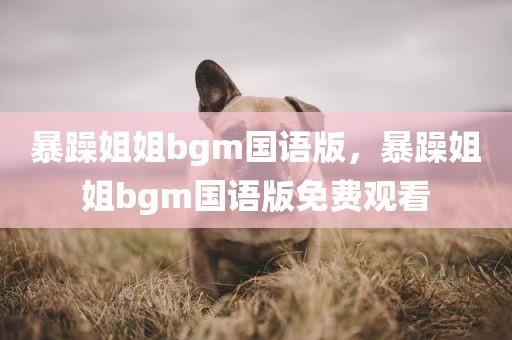 暴躁姐姐bgm国语版，暴躁姐姐bgm国语版免费观看
