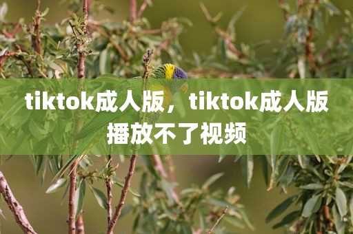 tiktok成人版，tiktok成人版播放不了视频