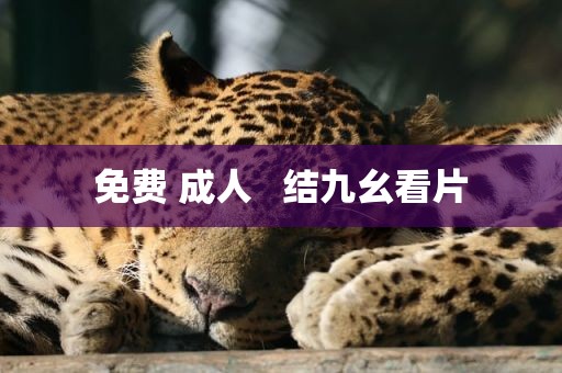 免费 成人   结九幺看片