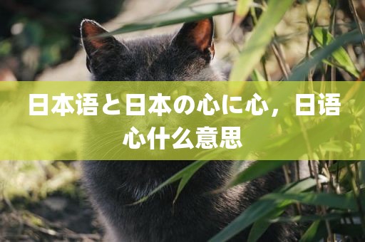 日本语と日本の心に心，日语心什么意思