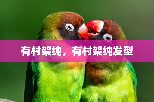 有村架纯，有村架纯发型