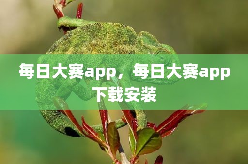 每日大赛app，每日大赛app下载安装