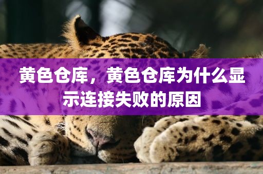 黄色仓库，黄色仓库为什么显示连接失败的原因