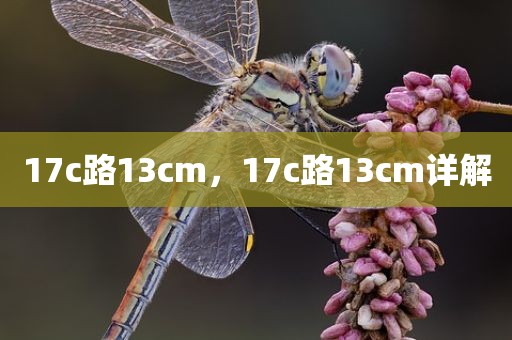 17c路13cm，17c路13cm详解