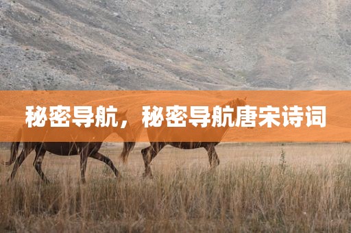 秘密导航，秘密导航唐宋诗词