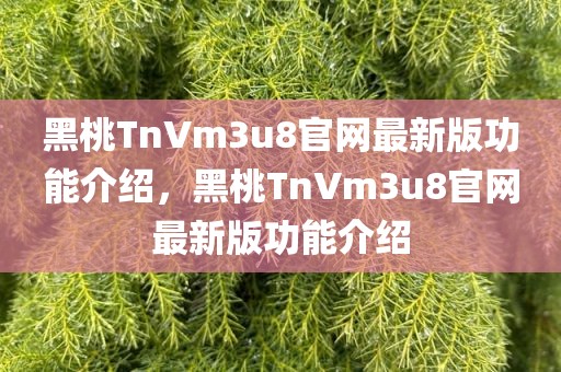 黑桃TnVm3u8官网最新版功能介绍，黑桃TnVm3u8官网最新版功能介绍