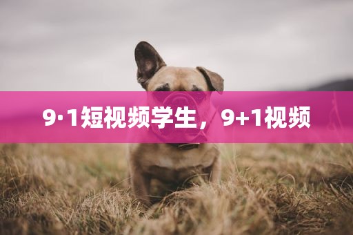 9·1短视频学生，9+1视频