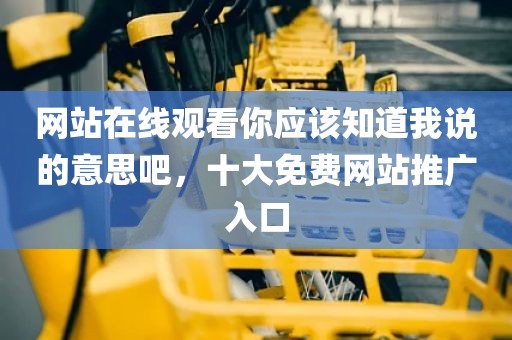 网站在线观看你应该知道我说的意思吧，十大免费网站推广入口