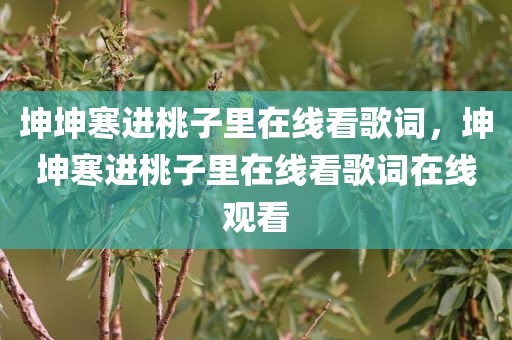 坤坤寒进桃子里在线看歌词，坤坤寒进桃子里在线看歌词在线观看