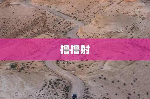 撸撸射