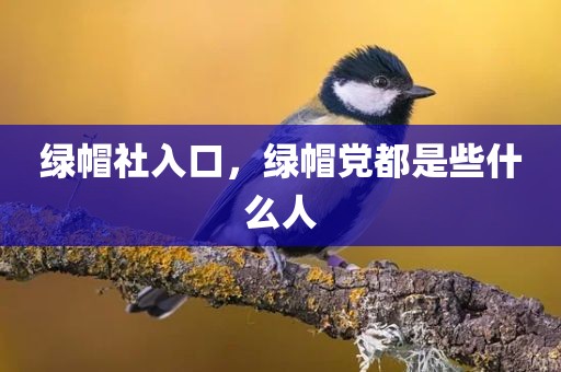 绿帽社入口，绿帽党都是些什么人