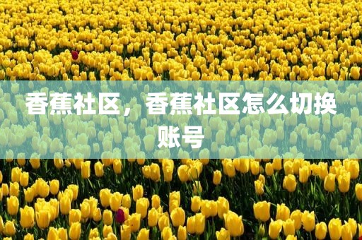 香蕉社区，香蕉社区怎么切换账号