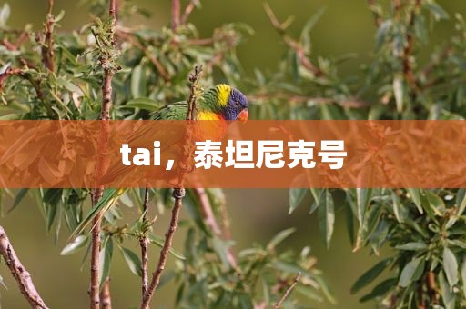 tai，泰坦尼克号