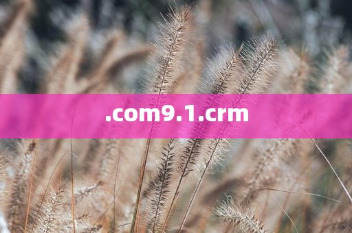 .com9.1.crm