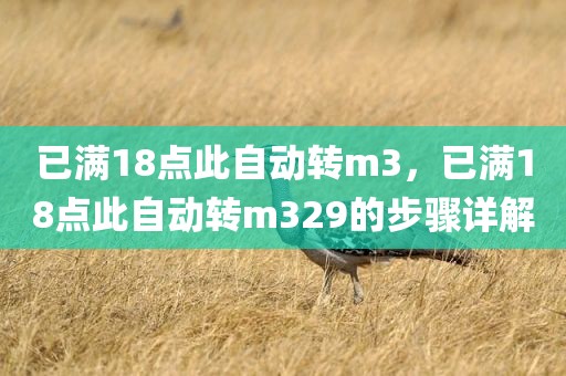 已满18点此自动转m3，已满18点此自动转m329的步骤详解