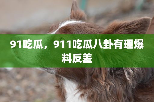 91吃瓜，911吃瓜八卦有理爆料反差