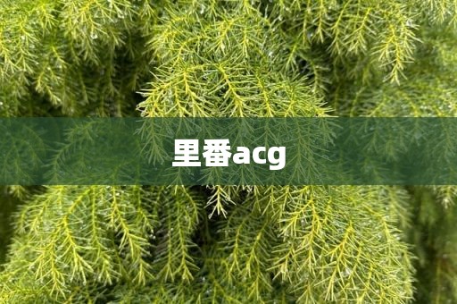 里番acg