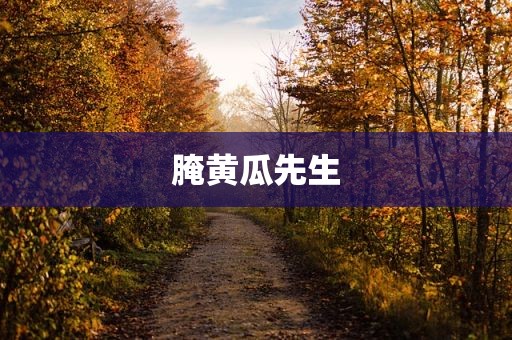 腌黄瓜先生