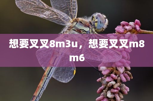 想要叉叉8m3u，想要叉叉m8m6