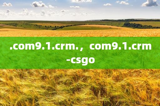 .com9.1.crm.，com9.1.crm-csgo