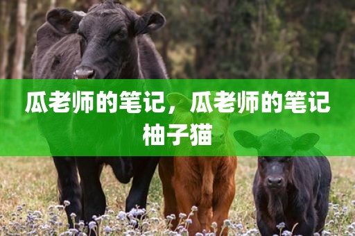 瓜老师的笔记，瓜老师的笔记柚子猫