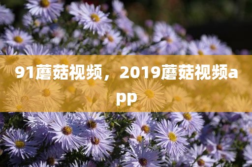 91蘑菇视频，2019蘑菇视频app