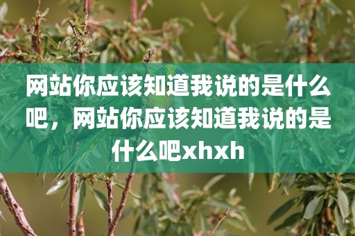网站你应该知道我说的是什么吧，网站你应该知道我说的是什么吧xhxh
