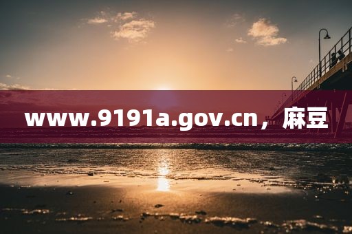 www.9191a.gov.cn，麻豆