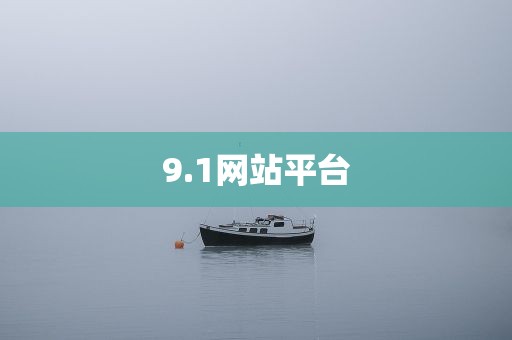 9.1网站平台