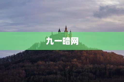 九一暗网