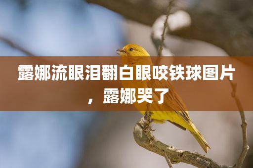 露娜流眼泪翻白眼咬铁球图片，露娜哭了